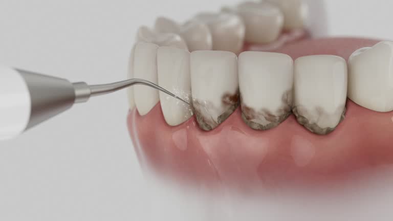Reliable Dental contractor in Shorewood-Tower Hills-Harbert, MI by Dentist Open Now